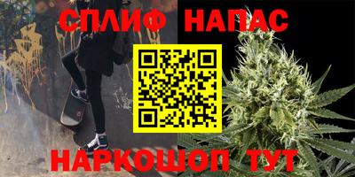индика Ливны