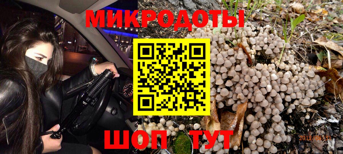 Псилоцибиновые грибы GOLDEN TEACHER Егорьевск