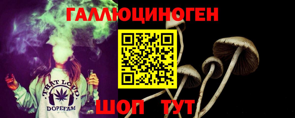 Галлюциногенные грибы Cubensis  Вход с VPN  Галлюциногенные грибы MAGIC MUSHROOMS  Егорьевск 